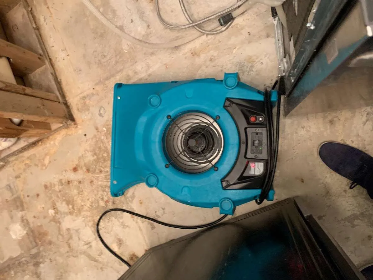 Air mover drying equipment for Mold Remediation & Removal in Coral Terrace